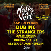 Dub Inc et The Stranglers