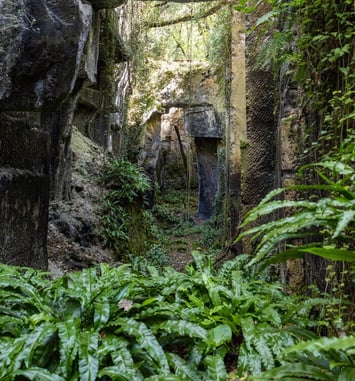 Immersion dans les carrières
