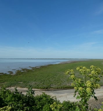 La baie de l'Aiguillon au fil des saisons