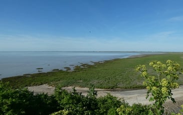 La baie de l'Aiguillon au fil des saisons
