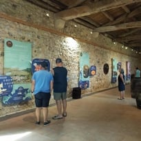 Exposition : « Tonneau »