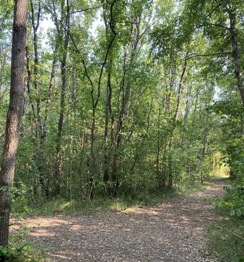 Sentier ludique et connecté "Explorama" à l'Asinerie du Baudet du Poitou
