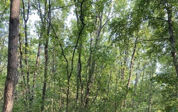 Sentier ludique et connecté "Explorama" à l'Asinerie du Baudet du Poitou