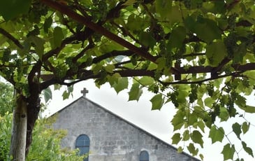 Conférence : "Viticulture en Saintonge pendant l'époque romaine"