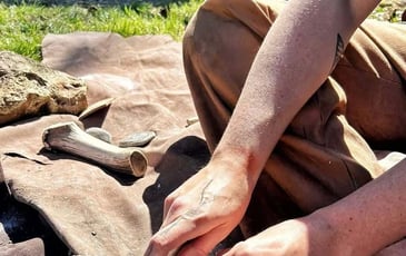 Visite au Paléosite