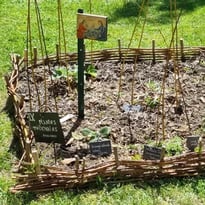 Visite commentée : à la découverte du Jardin médiéval de la Sagesse