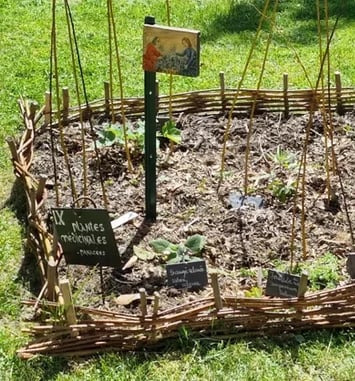 Visite commentée : à la découverte du Jardin médiéval de la Sagesse