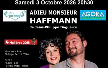 Théâtre "Adieu monsieur Haffmann" de Jean-Philippe Daguerre