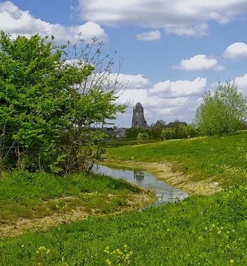 Balade poétique biodiversité dansée, Du râle à la genette