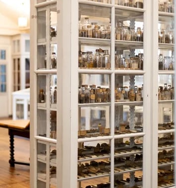 Visites guidées de la bibliothèque et des collections