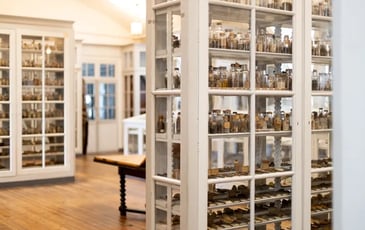 Visites guidées de la bibliothèque et des collections