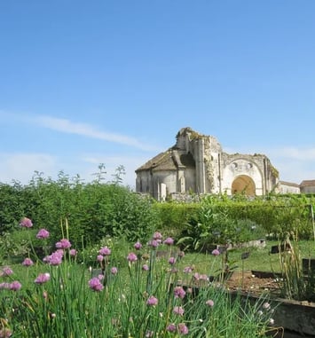 Visite libre de l'abbaye de Trizay