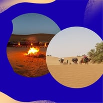 1001 dunes, comme si vous y étiez
