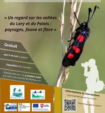 Natur'art Lary  2026