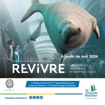 "Revivre, les espèces disparues" mapping-vidéo